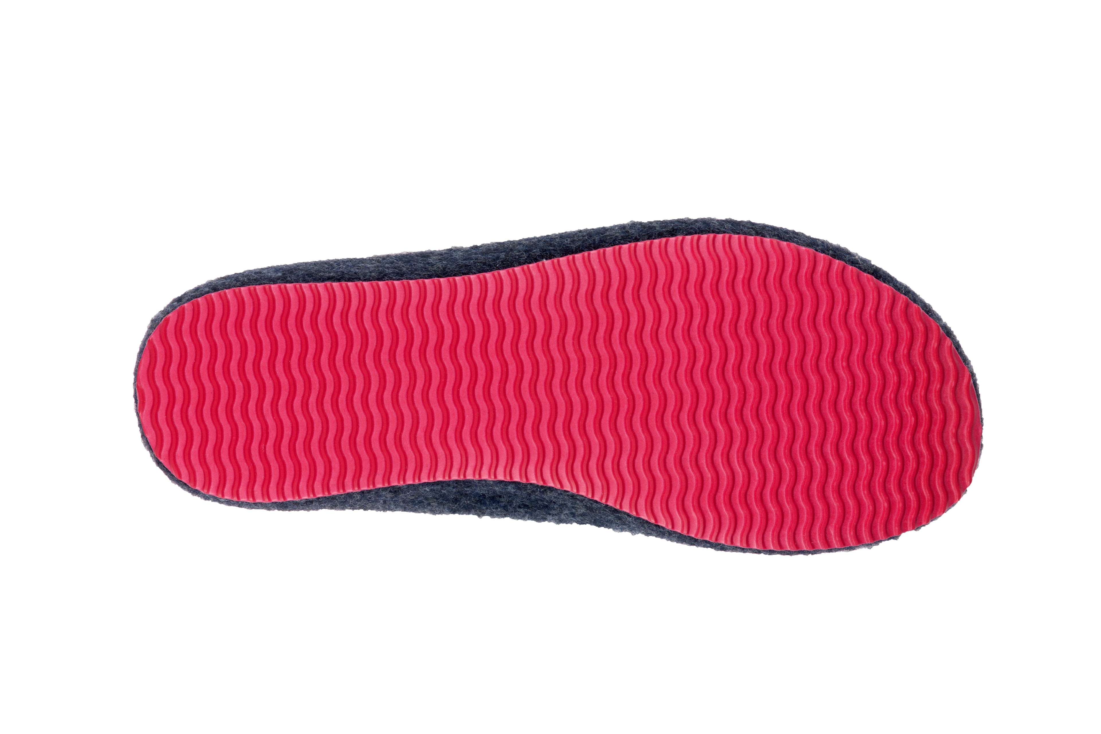 Sansa Navy Blue and Pink Shoes 